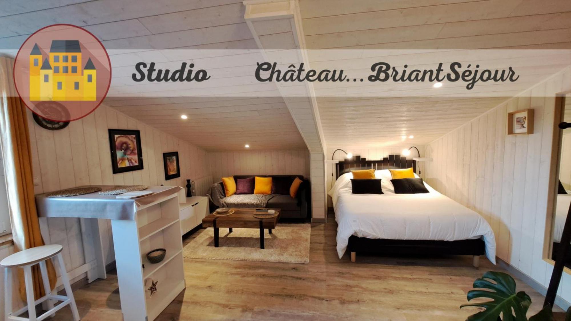 Studio-Centre Ville Châteaubriant Esterno foto